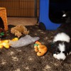 Spielen_5