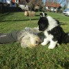 Spielen_1