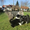 Spielen_2