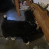 Garage_2