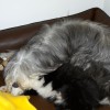 Mutter_Sohn2
