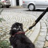 Weihnachtsmarkt_1